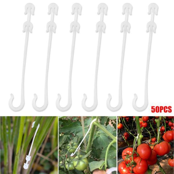 ラッキーハウスtoymytoy 誘引クリップ 植物用クリップ 支柱誘引クリップ 園芸クリップ 蘭植物用クリップ 耐久性 誘引作業 植物サポート 簡単支柱 10 50pcs再利用可能な植物サポートガーデンクリップブドウ野菜トマトガーデン温室 Vladatk Gov Ba