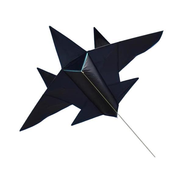 説明: secrected巧みに作られた戦闘機ジェットカイト]:このカイトは.ファイタージェットに似ているように設計されており.子供と大人の両方にエキサイティングな飛行体験を提供します[プレミアム材料]:高品質の化学繊維布から作られたこのカ...