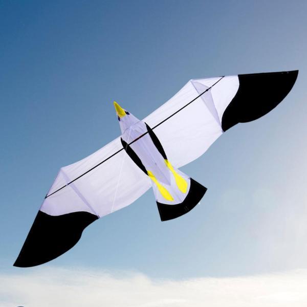 説明:[3Dボディ構造]:このイーグルカイトは3Dボディ構造を採用しており.リアルな外観とより鮮やかな外観を実現しています. [高品質素材]: この巨大な凧は高品質のナイロンと布で作られており.精巧な仕上がりで.本物そっくりで美しいです. ...