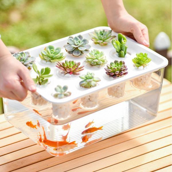 水耕栽培システム栽培キット マイクログリーン栽培キット 屋内栽培用