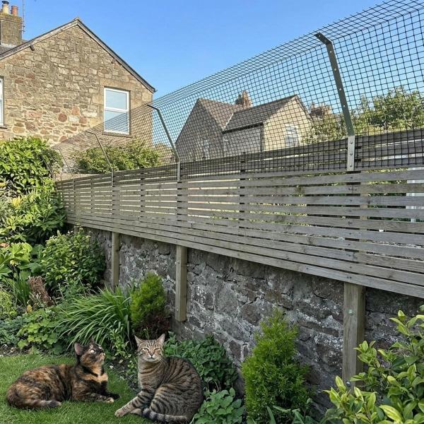 猫よけフェンス 屋外用バリア 裏庭用 高耐久ガーデン猫よけネット 10m