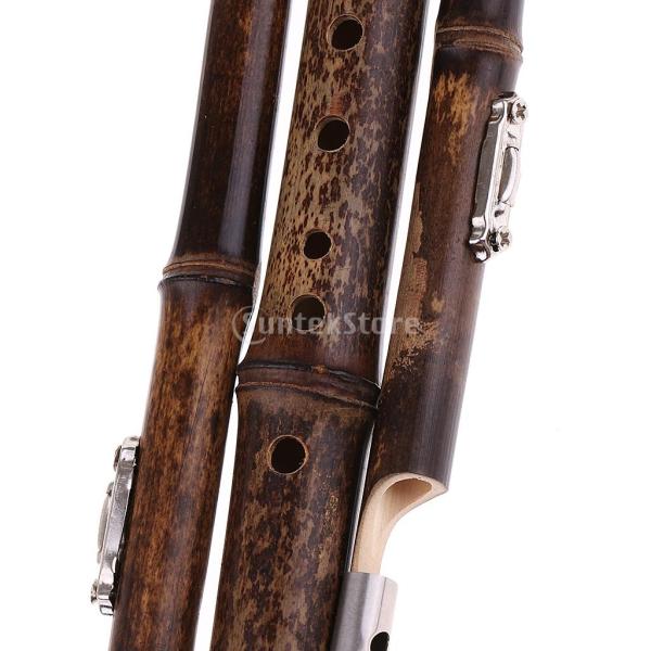 中国瓢箪笛 葫蘆絲 フルス ひょうたん楽器 Cトーン ひょうたんフルート 中国 フォーク楽器 Buyee Buyee Japanese Proxy Service Buy From Japan Bot Online