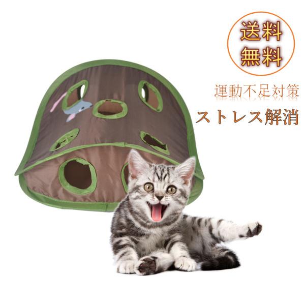 猫 おもちゃ 猫用おもちゃ 遊びのおもちゃ 猫の本能を刺激 運動不足対策 ストレス解消 ネコ遊び ひとり遊び 猫 成猫 子猫 玩具 遊具 人気 Stkショップ 通販 Yahoo ショッピング