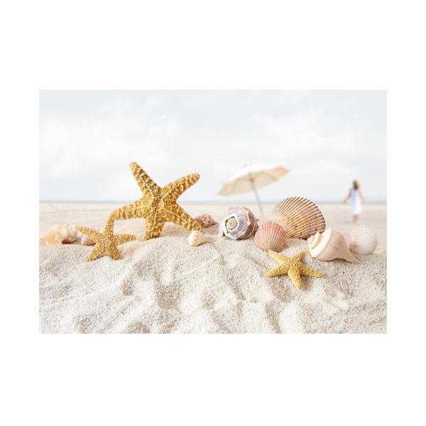 3D ポスター - 水槽用レイアウト用品の人気商品・通販・価格比較 