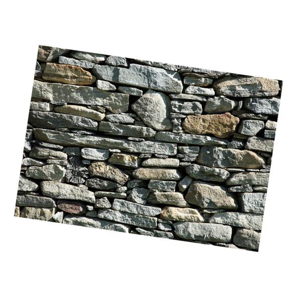 3D ポスター - 水槽用レイアウト用品の人気商品・通販・価格比較 