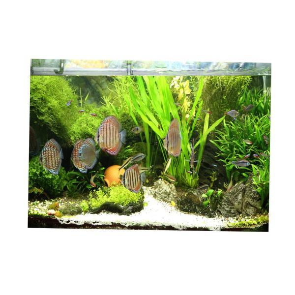 水族館の背景ステッカー 片面壁紙水槽の背景水生植物 魚 Xxl Stkショップ 通販 Yahoo ショッピング