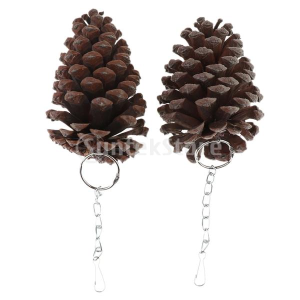 小動物用 松ぼっくり おもちゃの人気商品 通販 価格比較 価格 Com