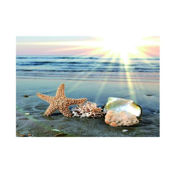 タンク ステッカー 水槽用レイアウト用品の人気商品 通販 価格比較 価格 Com