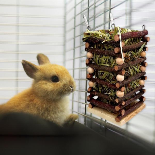 うさぎ ケージ 小動物フードの人気商品 通販 価格比較 価格 Com