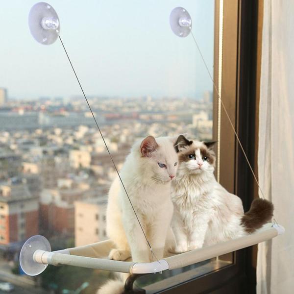 猫の窓のとまり木ハンモック吸盤快適な省スペース棚窓に取り付けられたペットの窓枠の休憩席日光浴キティ - カーキ :64038889:STKショップ - 通販 - Yahoo!ショッピング 猫の窓のとまり木ハンモック吸盤快適な省スペース棚窓に取り付けられたペットの窓枠の休憩席日光浴キティ - カーキ :64038889:STKショップ - 通販 - Yahoo!ショッピング