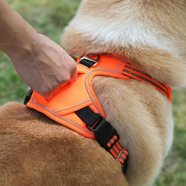 説明:丈夫でトレーニングに強い.きちんとしたステッチが施された丈夫なオックスフォード生地素材で作られています.ソフトパッド入りで.犬の日常生活に快適です. 4つの調節可能なストラップと2つのクイックリリースバックル.あなたは快適にあなたの犬...