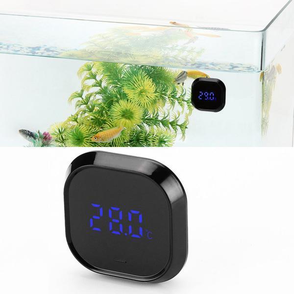 デジタル 水槽 その他の熱帯魚 アクアリウム用品の人気商品 通販 価格比較 価格 Com