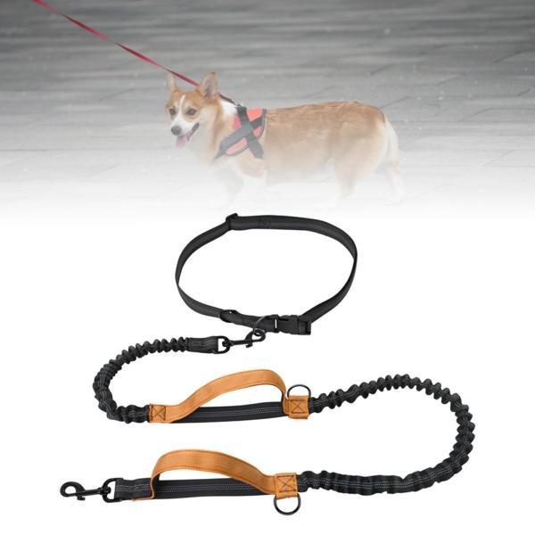 犬 ランニング 犬用首輪 リード ハーネスの人気商品 通販 価格比較 価格 Com