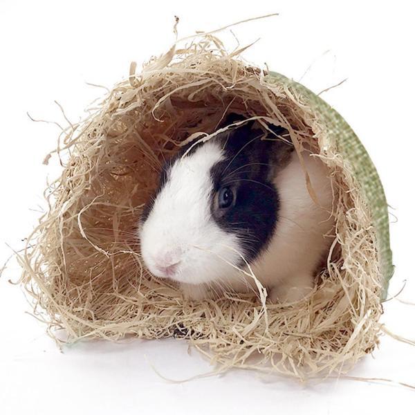 説明:ペット トンネル: 美しいハムスター トンネルは.小さなペットが通り抜けるスペースを提供し.ペットを楽しませます.ポータブル:保管が簡単で.スペースを取りません.特徴: トンネルはペットを楽しませ.何時間もの運動.自己遊戯.隠れ家を提...