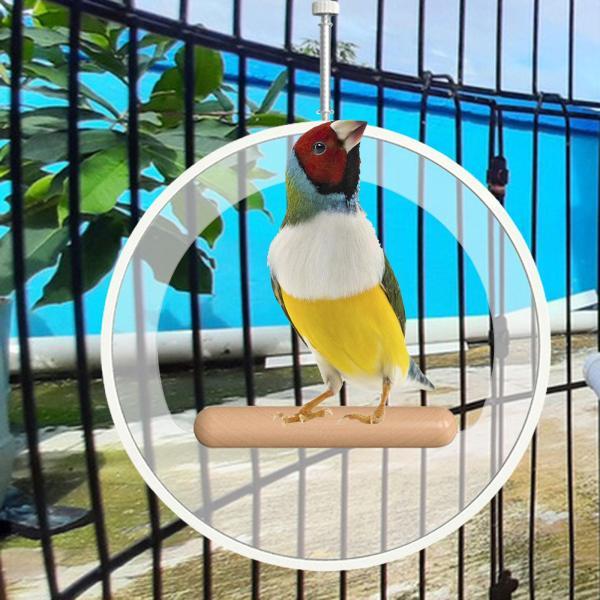 説明:[素材]: このオウムスタンドはアクリルと木材で作られており.耐久性と長寿命を保証します. [サイズ]: スタンドの寸法は直径19.5cmで.鳥が快適に止まるのに十分なスペースを提供します. [デザイン]: バードスタンドはユニークな...