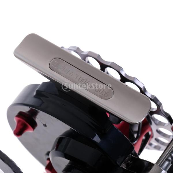 Flameer 釣りリール 右手 3#/ 100mライン 10 + 1BB ハンドル EVAノブ 高硬度歯車 ホイール グリップ 釣具 コントロールボタン付き