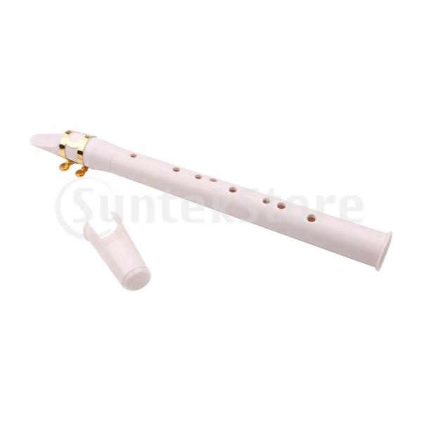 ミニ ポケットサックス 木管楽器 子供 初心者向け Stkショップ 通販 Yahoo ショッピング