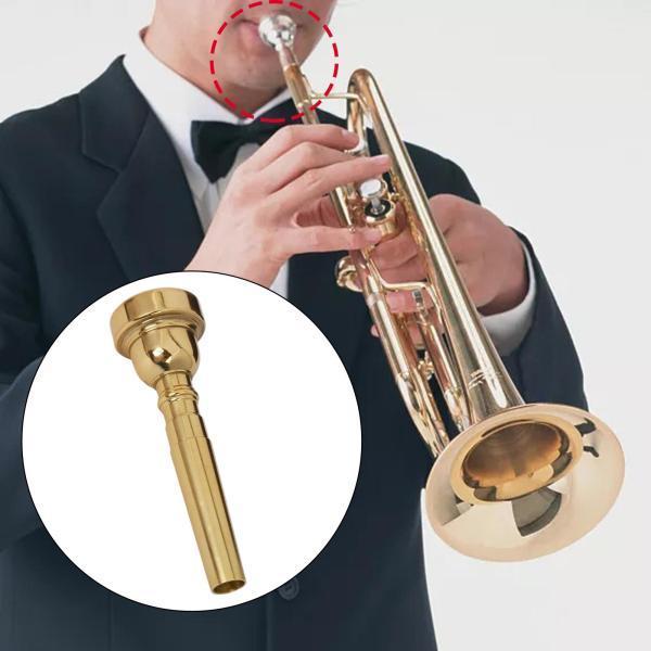 プロのプレーヤーのためのトランペットマウスピース楽器アクセサリー3C 