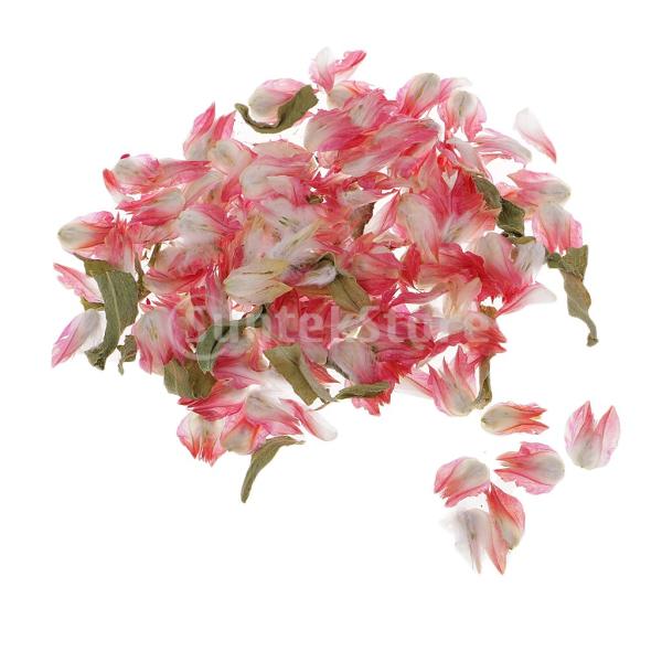 ろうそくのための自然乾燥した花4g 本物の花 Buyee Buyee Japanese Proxy Service Buy From Japan Bot Online