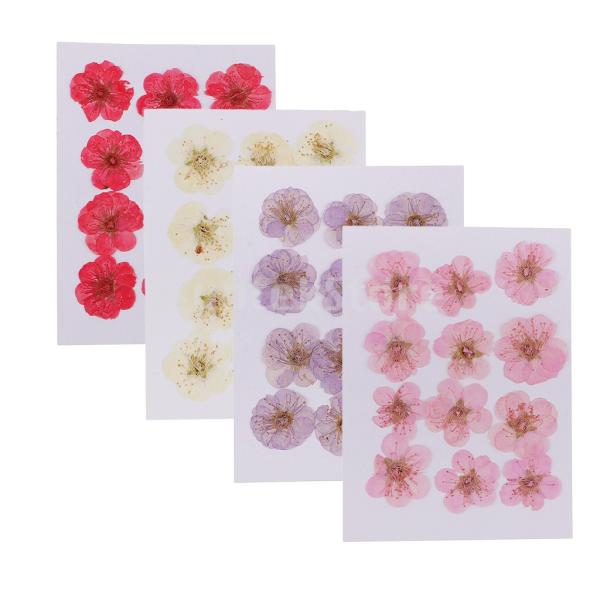 アートワークのための12個の実物の乾燥した花の梅の花 Buyee Buyee 提供一站式最全面最專業現地yahoo Japan拍賣代bid代拍代購服務 Bot Online