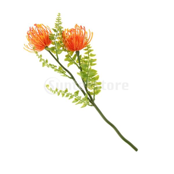 50歳以上 ピンクッション 花 10k画像の花