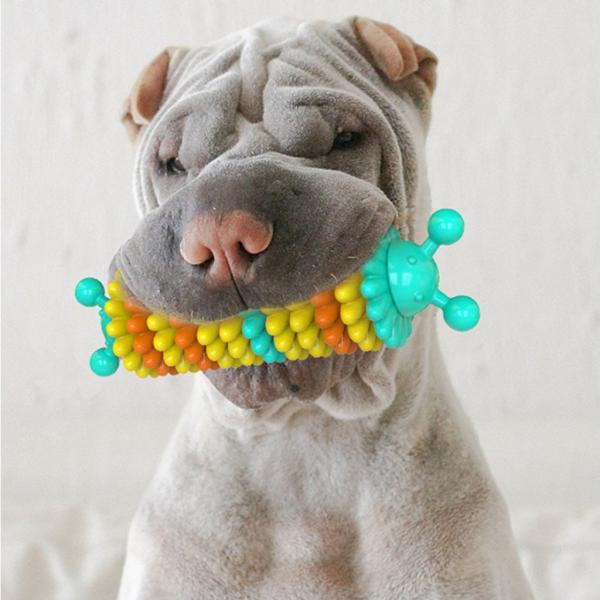 犬咀嚼のおもちゃためchewers Tpr犬歯ブラシおもちゃ プラーク Amp 歯石歯クリーニングのおもちゃ 耐裂性キャタピラー形状 Stkショップ 通販 Yahoo ショッピング