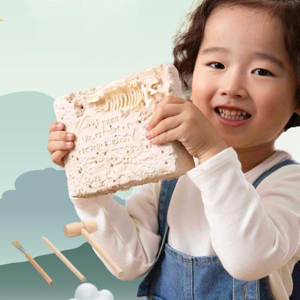 化石 セット 知育玩具の人気商品 通販 価格比較 価格 Com