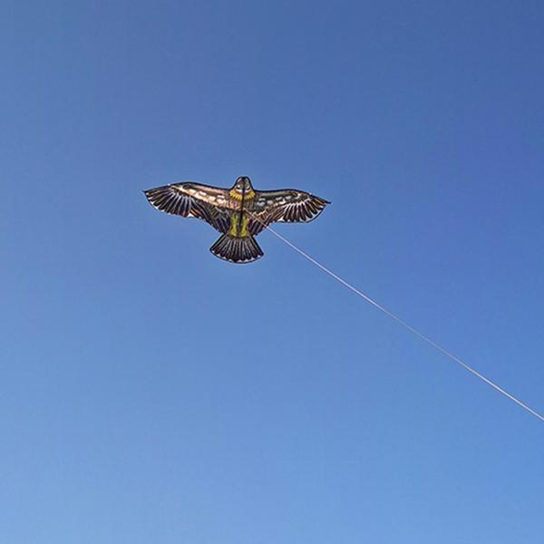 説明:3Dイーグルカイトのグレードを下げて安定させると.簡単にプレイを開始できます.公園やビーチでは.風に向けるだけでオフになり.飛行できます.高品質のグラスファイバーロッド+ポリエステルクロス素材で作られており.優れた耐久性と長い使用時間...