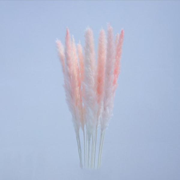 花 パンパスグラス 造花 アーティフィシャルフラワーの人気商品 通販 価格比較 価格 Com