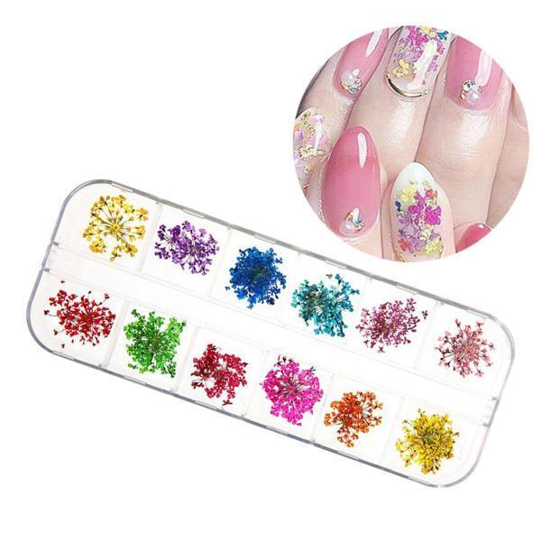 ドライフラワー アートの人気商品 通販 価格比較 価格 Com