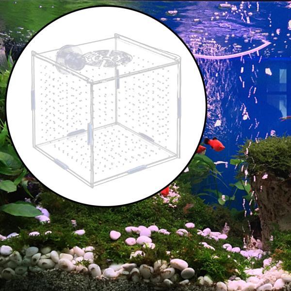引き取り品 150×68×50 特注品 アクリル水槽 Amazon | 小型水槽,スターター水槽 ベタ、エビ、金魚用、底部