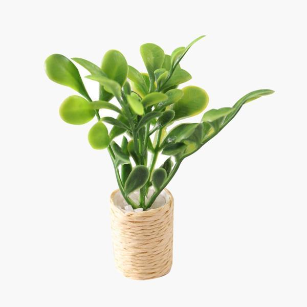 説明:[耐久性のある素材]:鉢植えのドールハウスは高品質の素材で作られており.耐久性があります.[ごっこ遊びおもちゃ]: ドールハウス人工多肉植物モデル.人形のシーンを飾るふりをすることができます.[エレガント]:ドールハウスのミニチュア盆...