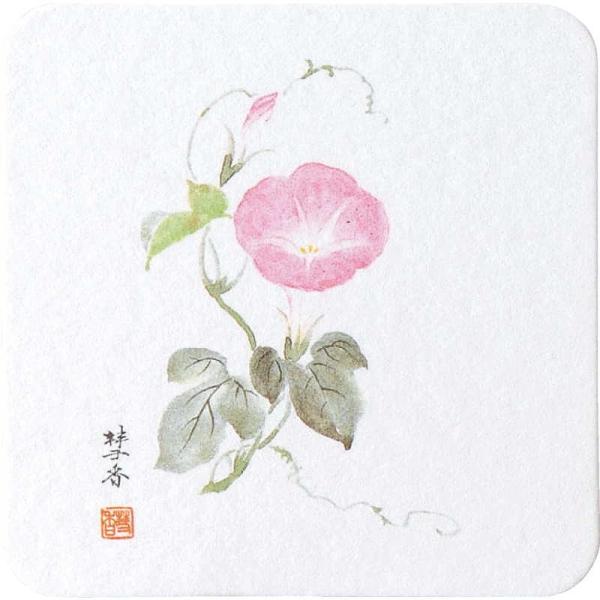 lG R[X^[5010Zbg y[p[R[X^[() / ԕis /  R[X^[ Ɩp