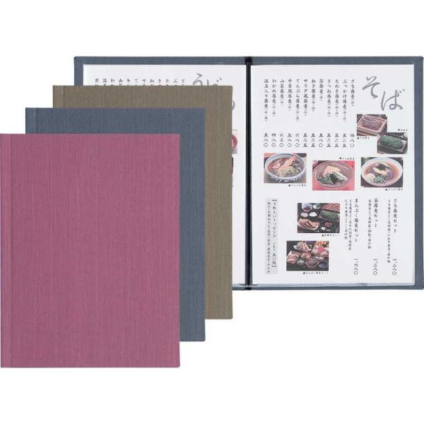 j[ubN(j[[dl)(A4 4y[W) PR-301 / (10y[W܂) / Vr j[ubN [^Cv