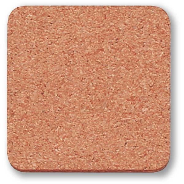 RN R[ X^[(10) #100p(10) / Vr hN o[ RN R[ X^[