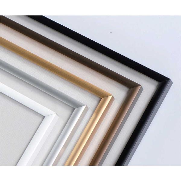 pl (3Zbg) Z-XGCg-60(B2) / ԕis  / Vr X̑pi A~t[pl