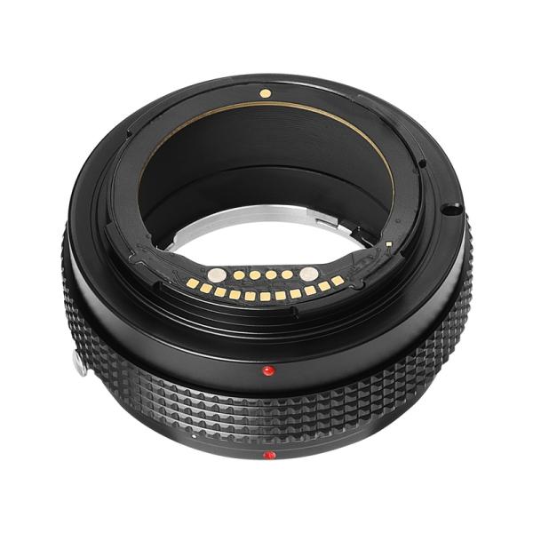 stkb_msr-nz-e_2_d_20260324185009