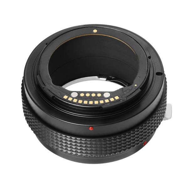 stkb_nf-nz-e_d_20260324183529