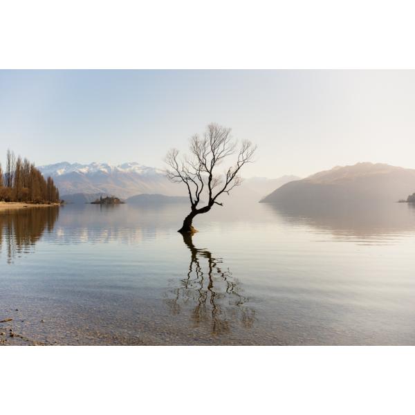 stkb_tt-40f2af-l-b_5_d_20250926122037