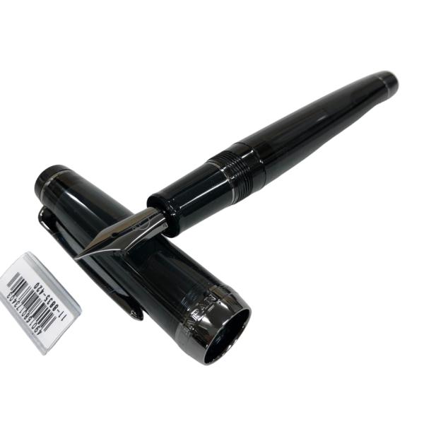 希少限定品・買得！】セーラー万年筆 イオンパンダ コラボ 21K SAILOR