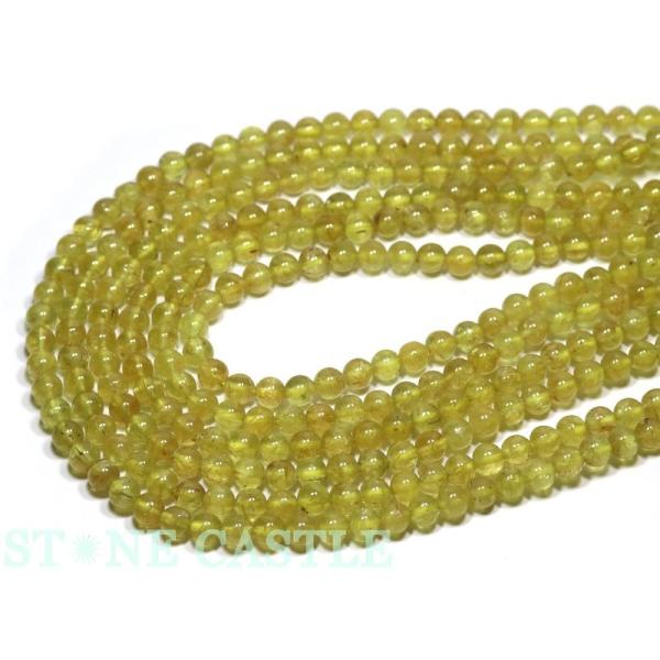 ΗʃZ^[ VR r[Y ANZT[ ۃr[Y LbcACS[fAp^Cg 6mm (A uXbg1{) p[Xg[