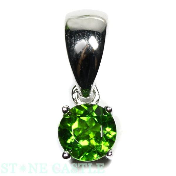 ΗʃZ^[ i y_g N_CIvTCg ی^ (sv925) #020 VR p[Xg[