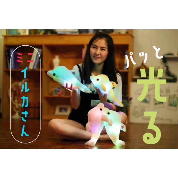 4カラー【光るミニイルカさん 】ミニサイズ 光る ふわふわ イルカ ぬいぐるみ LEDライト