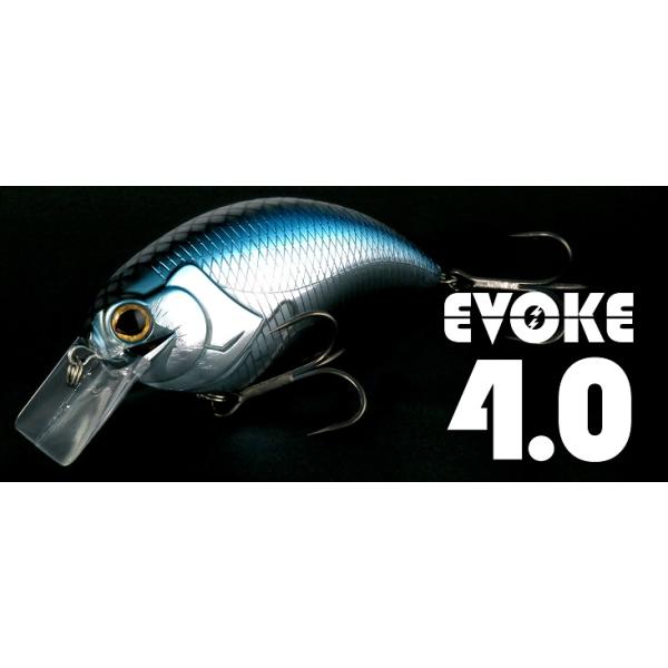 deps / デプス EVOKE4.0 イヴォーク4.0 : センターフィールド - 通販
