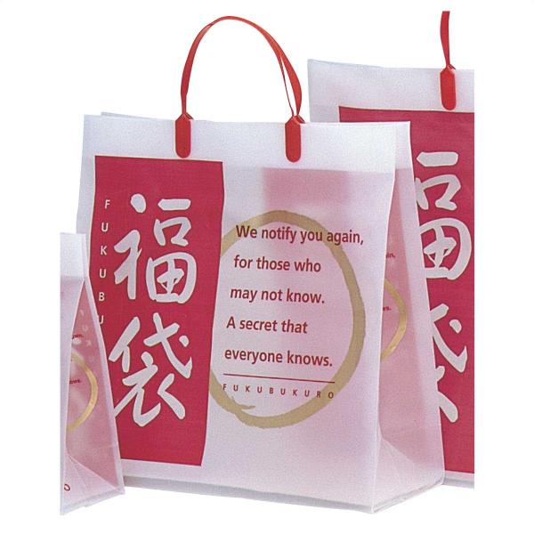 (専用)福袋 ストア・エキスプレス 【10枚入り】福袋 フロストバッグ 35×12×35_58