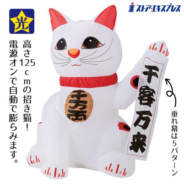 エアーディスプレイ福招き猫L ¥29800→¥9800 エアーディスプレイ福