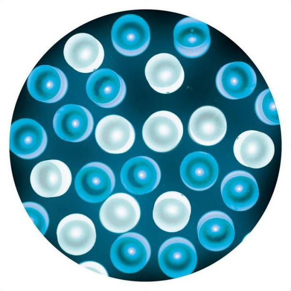 C~l[VCg O d _LEDXg[gCg 100 VCTt@CA_58-60-3-5_8735-1162