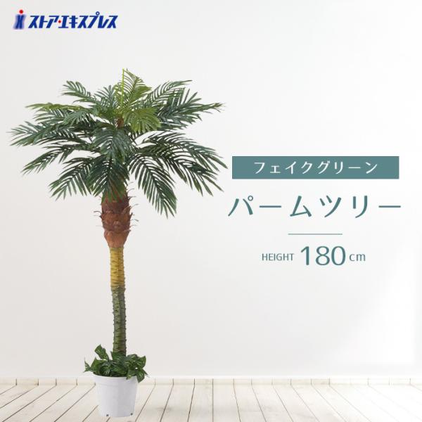 光触媒　人工観葉植物　ウォールグリーン　フェイクグリーン　パームツリー95 光触媒 人工観葉植物 ウォールグリーン フェイクグリーン パームツリー95