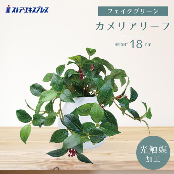 ●サイズ／W25×D25×H18cm●素材／葉：プラスチック 鉢：陶器●その他仕様／光触媒加工