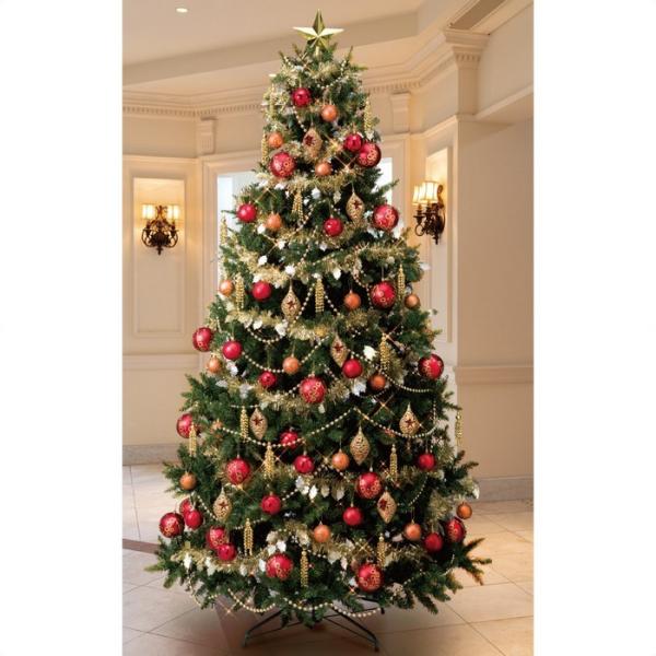 NX}Xc[  ledCg k_R`l^c[Zbg bh H240cm 1_58-10-1-4_8813-158